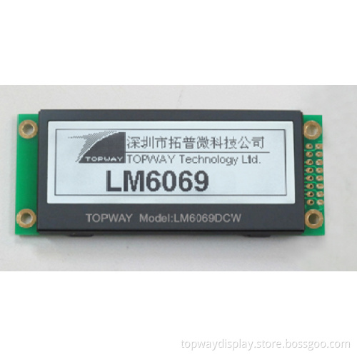 LCD Display for Audio Player (LM6069D)
